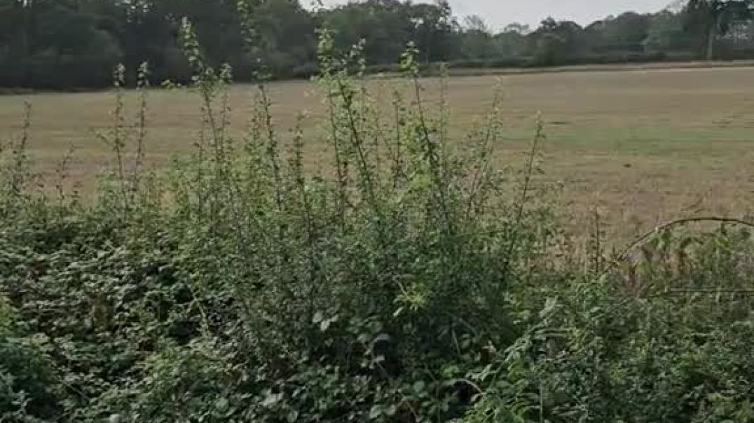 23 hours in a Lay-by