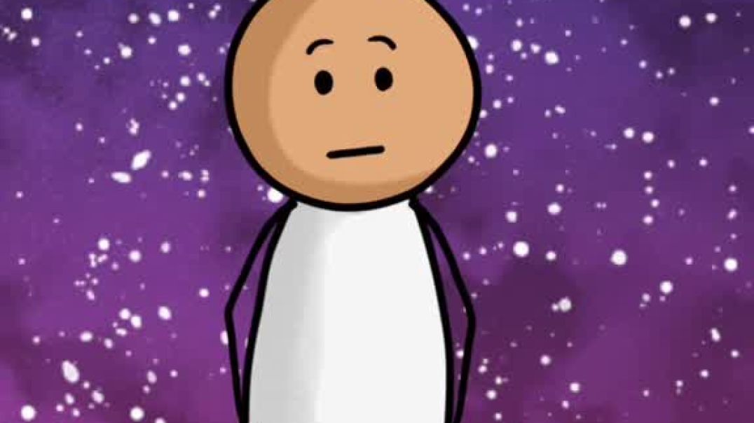 Connor Jones - The Female Anatomy